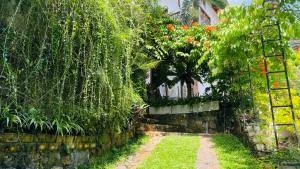 Bouganvilla House