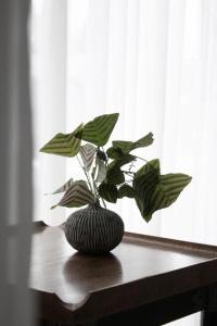 Rangsiya Boutique Hotel