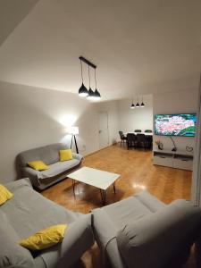 Gigabit High-Speed Internet Modern Apartment