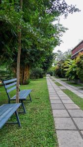 Maple grove villa resort