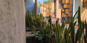 Arusha Sunbird Lodge