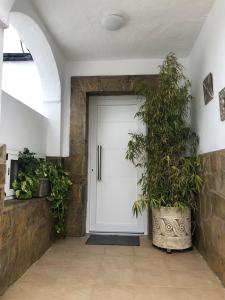 Apartamento Condal - Jacuzzi & BBQ - Solo planta baja