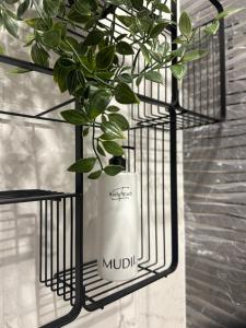 Blue Mango Apartment 3 Bedrooms City Center