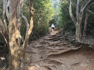 Islander on the Beach 154