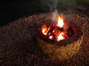 Oikos Orchard and Farm