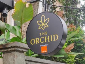 The Orchid by FLAT06