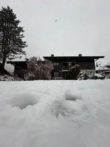 Alpine Escape Mont Blanc at Your Window