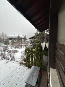 Alpine Escape Mont Blanc at Your Window