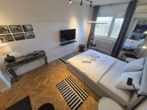 Tašmajdan park studio