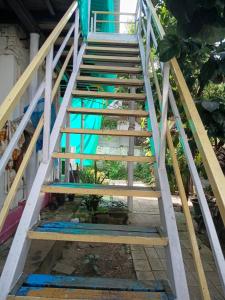 First Alleppey homestay