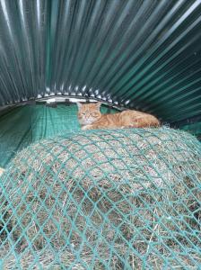 Ferienwohnung beim Schnellerbauer