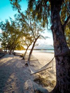 Ile Des Deux Cocos