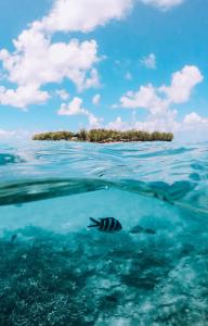 Ile Des Deux Cocos
