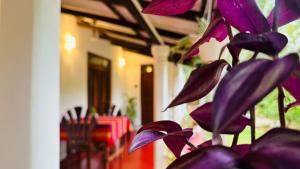 Sigiriya Hidden Home Stay