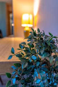 Serviced 2 bed apartment, Westbury on Trym Bristol