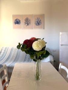 Appartamento La Pavoncella img26