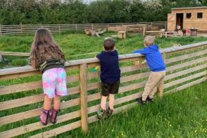 Beech Pod Cabin in beautiful surroundings Wrexham
