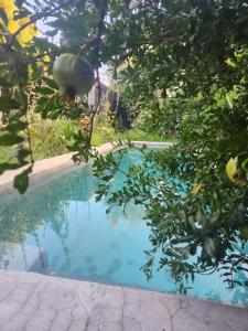 The Richmond Café and Rooms