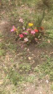 La Juanita - Santa Monica