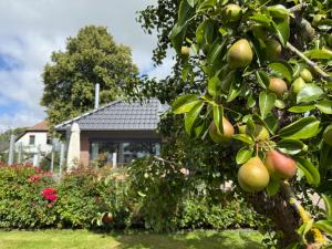 Feriendomizil Rosenhuus - Hochwertiger Nordseeurlaub mit Sauna und Kamin im idyllischen Butjadingen