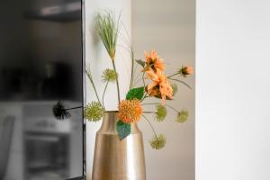 Cienfuegos by United Renters