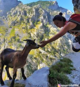 Casa rural en Cabrales Picos Europa