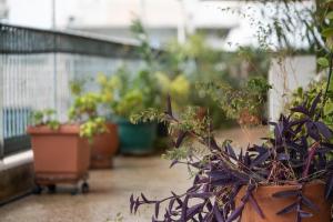 Twin Heights Retro Home for 3 by Filos Inc