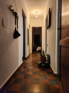 Dpto centrico sobre Av Eden