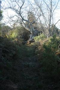 Linderhof Lodge by African Perfection