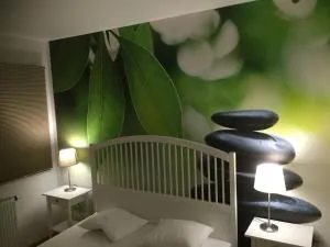 Apartament U Sternika - 米兹多洛杰