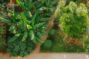 Dreamland Oasis Hotel Chakvi
