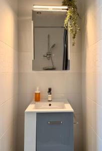 Le Vert Luizet - Lumineux, Wifi, TV connectée