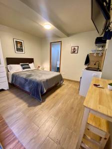 Deluxe Apartments in Arequipa Downtown