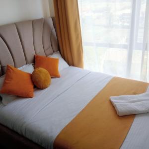 Imanis comfort