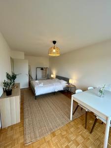 Cozy Studio in Witikon District