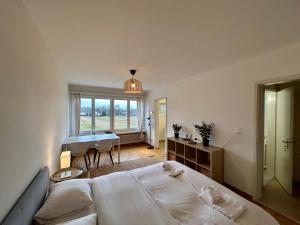 Cozy Studio in Witikon District