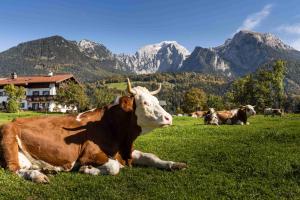 Gästehaus Untersulzberglehen