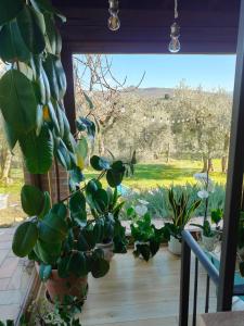 Cottage La Dolce Agogia Panicale