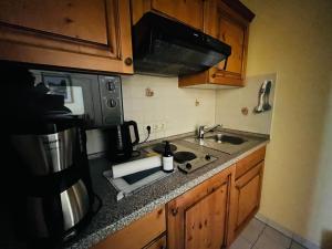 Hundefreundliches Apartment H1 108