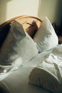 Hundefreundliches Apartment H1 108