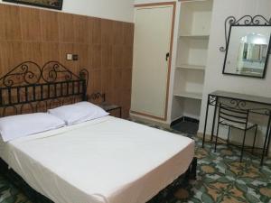 Double Room with Private Bathroom room in Hotel Central Palace