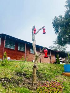 Hotel Cerro Fuerte Sopo Breakfast & eventos