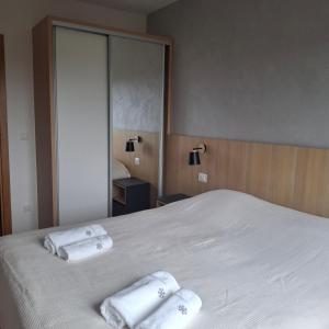 Silver Flake apartment