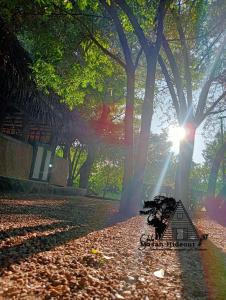 Yala Masan Hideout