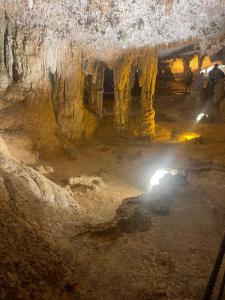 Casa di Magnolia img34