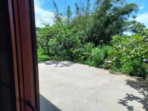 Studio na floresta com cheirinho de roça