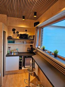 Scandic tiny