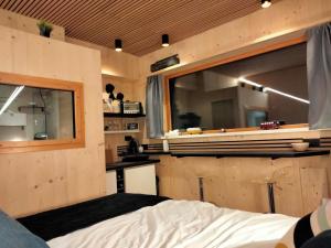 Scandic tiny