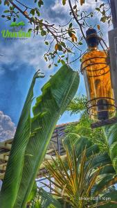 Unwind Farm Retreat