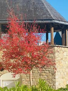 Ty-Caïrn - bel appartement, une chambre 2 à 4 personnes avec vue piscine et port crouesty
